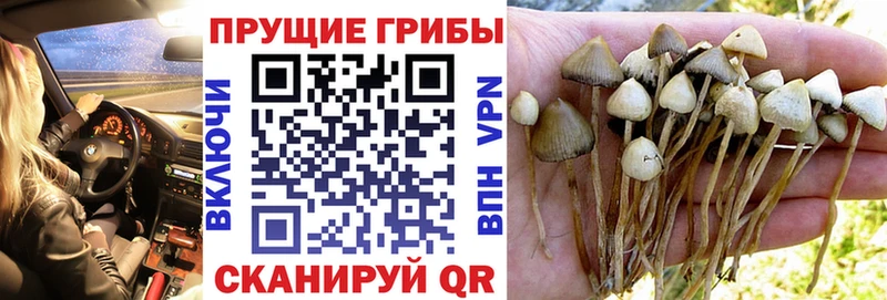 Галлюциногенные грибы MAGIC MUSHROOMS  Старый Крым 